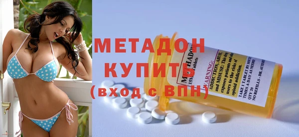 прущие грибы Ладушкин
