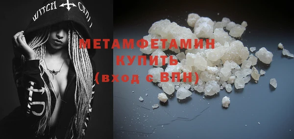 прущие грибы Ладушкин