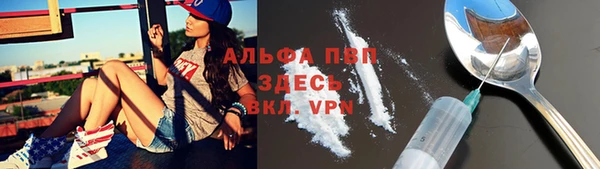 скорость Лагань