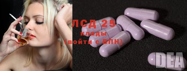 прущие грибы Ладушкин