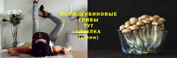 соль курить ск Лабытнанги