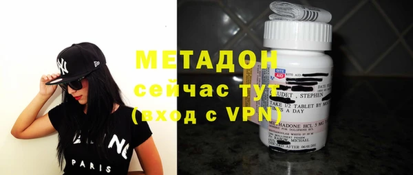 прущие грибы Ладушкин