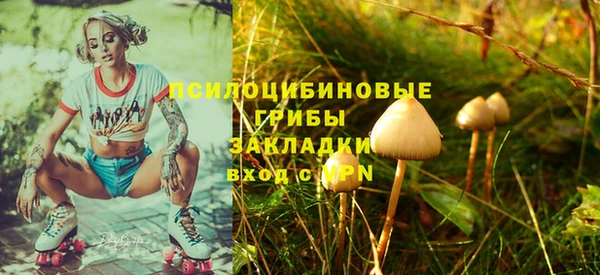 скорость Лагань