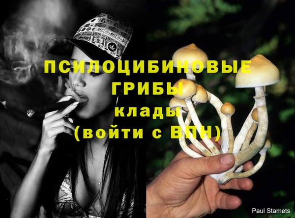 первитин Мегион