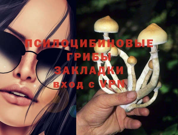 скорость Лагань