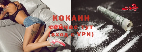 прущие грибы Ладушкин