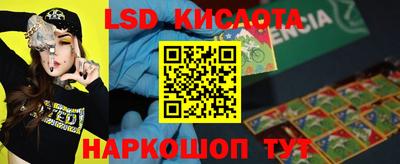 PSILOCYBIN Заволжье