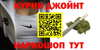 гашик Жуковский
