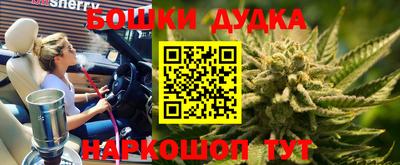 PSILOCYBIN Заволжье