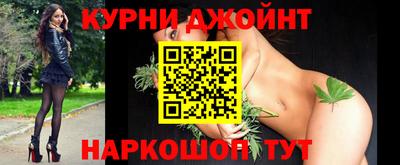 гашик Жуковский