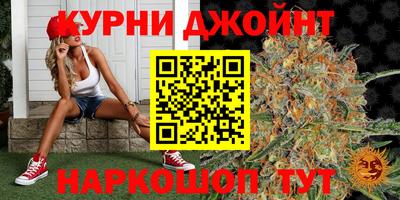 гашик Жуковский