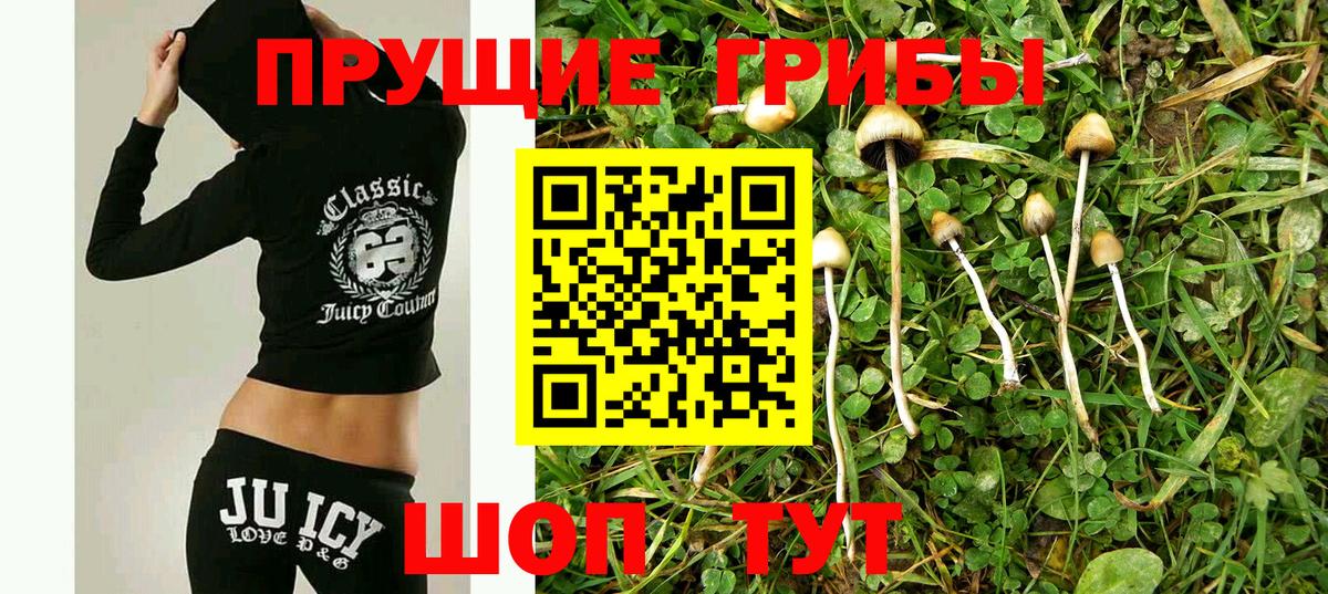 Псилоцибиновые грибы Cubensis Углич